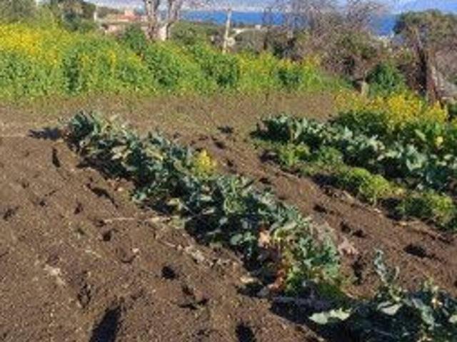Terreno in vendita a Coroglio, Campania