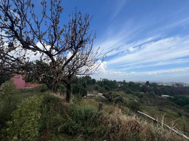 Terreno in vendita a Santa Croce, Campania