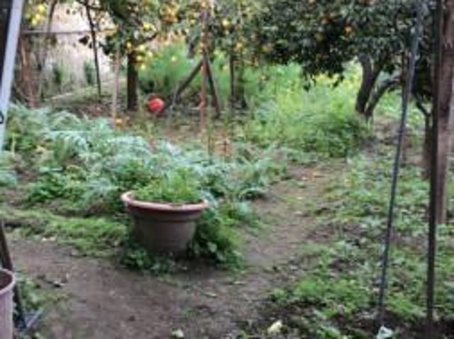 Terreno in vendita a Municipalità 1, Campania