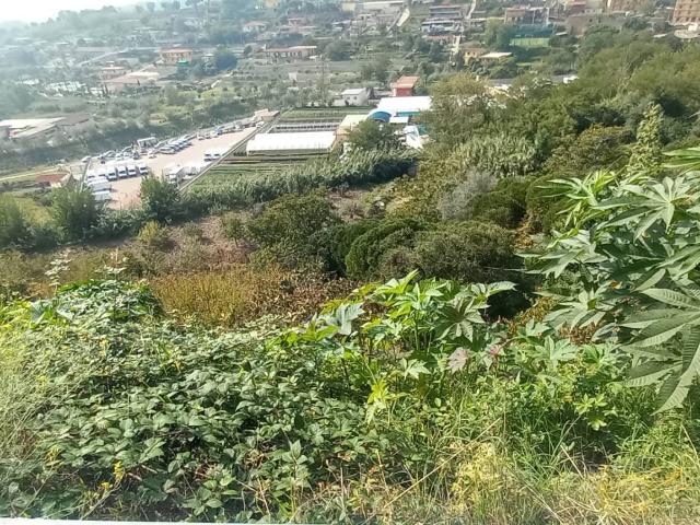 Terreno in vendita a Astroni, Pianura