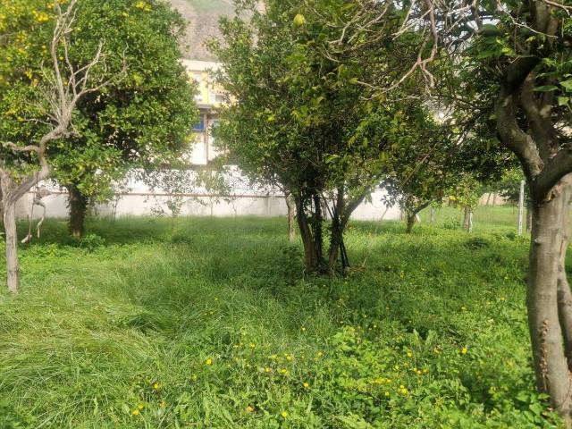 Terreno in vendita a Camaldoli, Campania