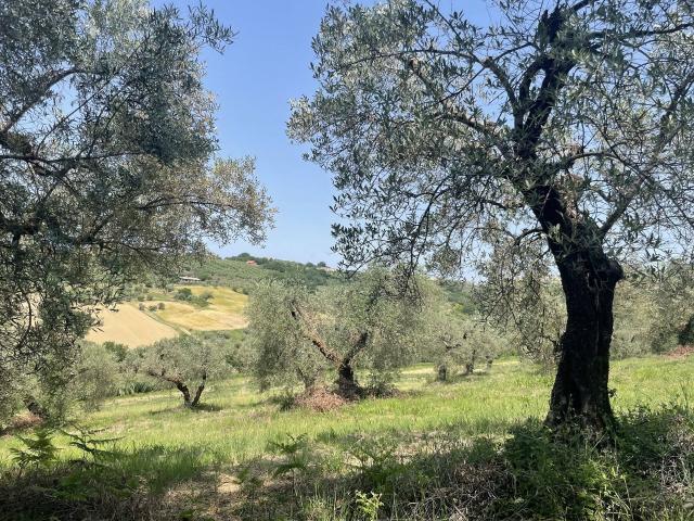 Terreno in vendita a Narni, Umbria
