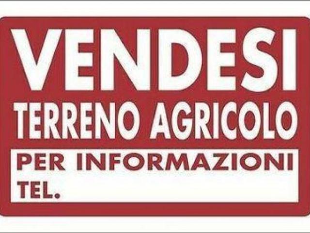 Terreno in vendita a Cascina, Toscana