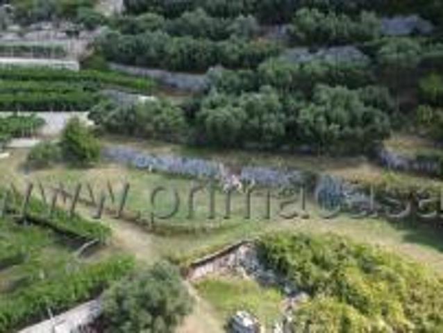 Terreno in vendita a Negrar, Veneto