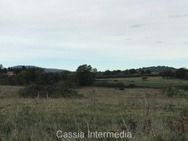Terreno in vendita a Nepi, Lazio