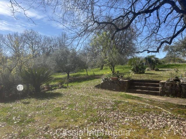 Terreno in vendita a Nepi, Lazio