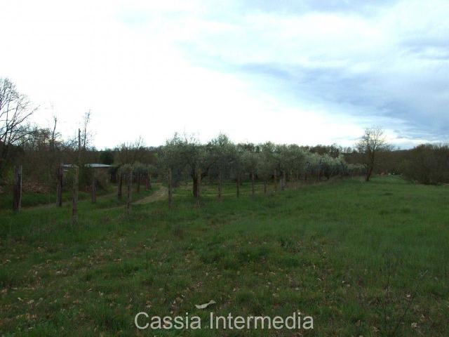 Terreno in vendita a Nepi, Lazio