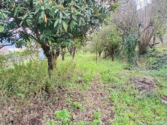 Terreno in vendita a Nocera Inferiore, Campania