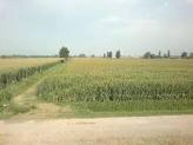 Terreno in vendita a Vecchiano, Toscana