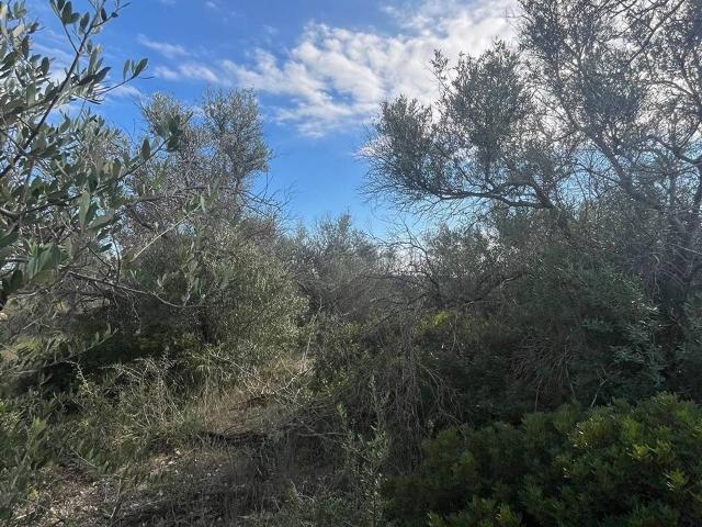 Terreno in vendita a Noto, Siracusa
