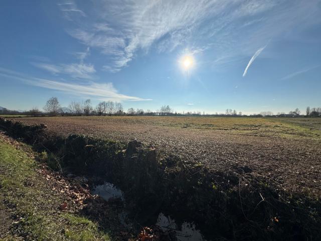 Terreno in vendita a Noventa Vicentina, Veneto