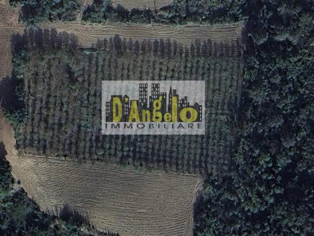 Terreno in vendita a Marche, Ascoli Piceno