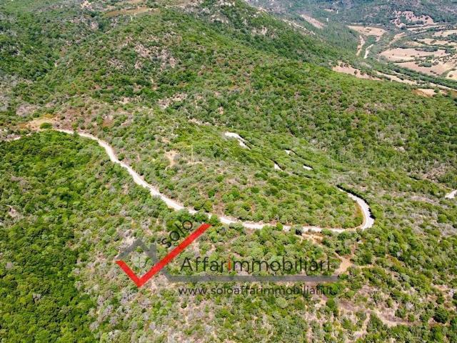 Terreno in vendita a San Pantaleo, Sardigna/Sardegna