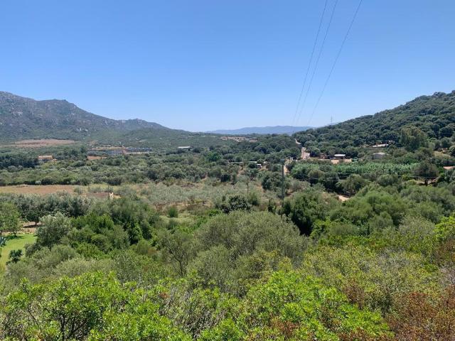 Terreno in vendita a San Pantaleo, Sardigna/Sardegna