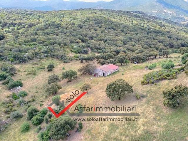 Terreno in vendita a San Pantaleo, Sardigna/Sardegna