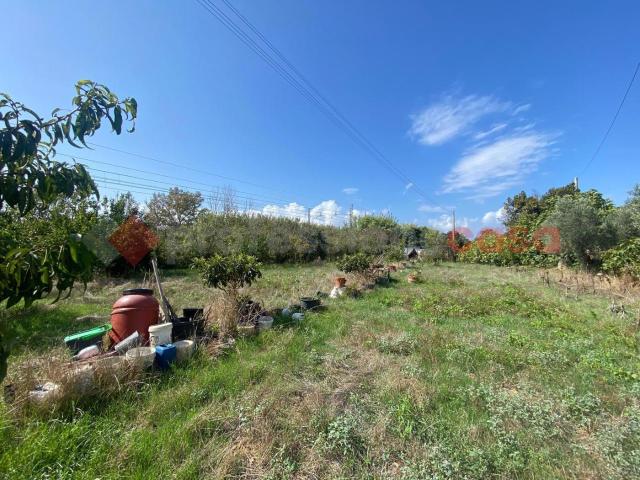 Terreno in vendita a Provinca, Orbetello
