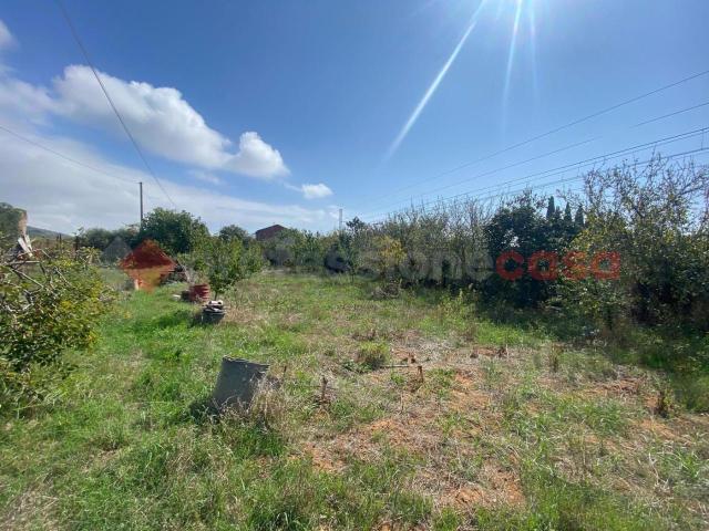 Terreno in vendita a Provinca, Orbetello