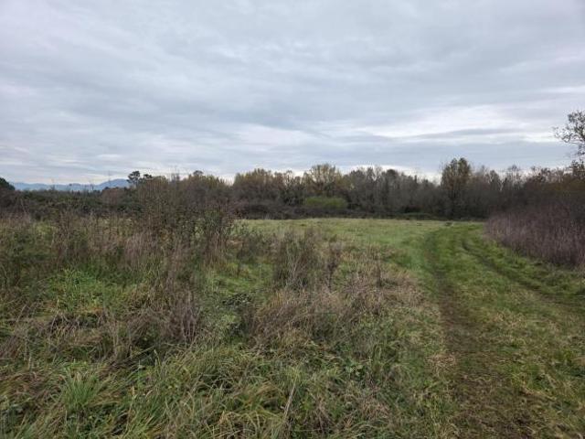 Terreno in vendita a Castelfranco Di Sotto, Toscana