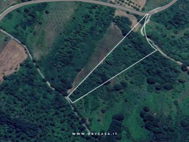 Terreno in vendita a Oriolo Romano, Lazio