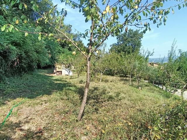 Terreno in vendita a Orte, Lazio