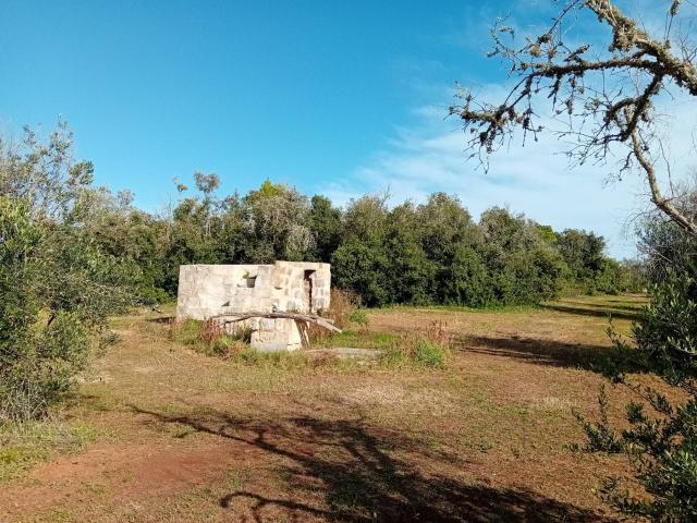 Terreno in vendita a Puglia, Lecce