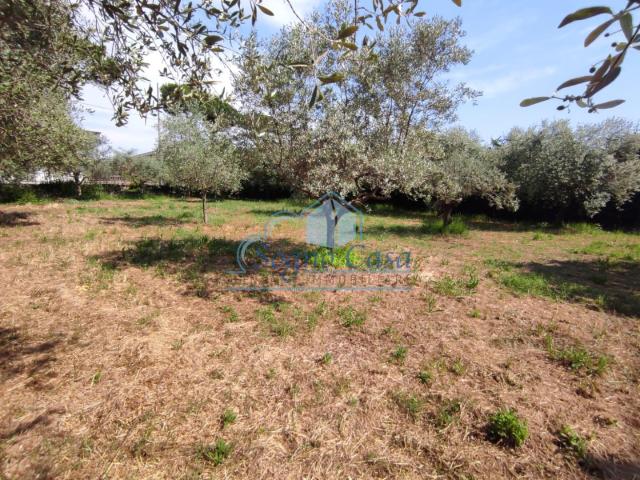 Terreno in vendita a Luni, Liguria