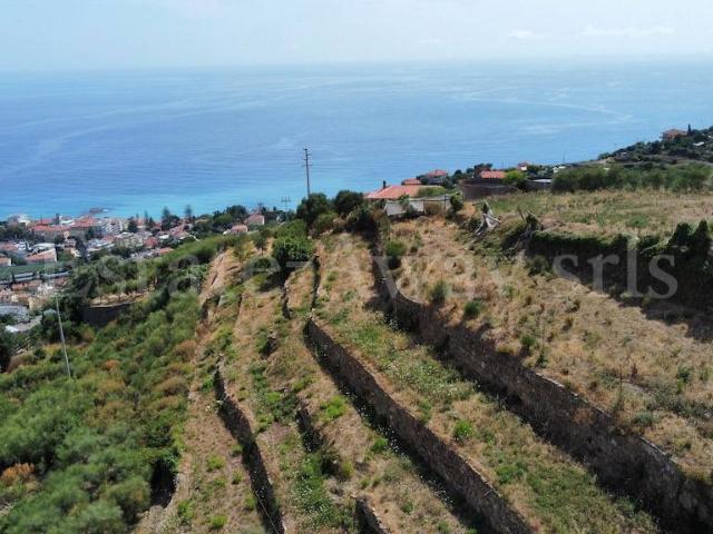 Terreno in vendita a Ospedaletti, Liguria