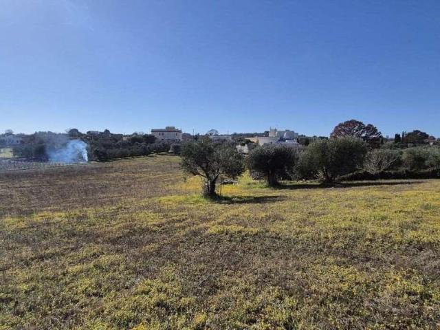 Terreno in vendita a Puglia, Brindisi