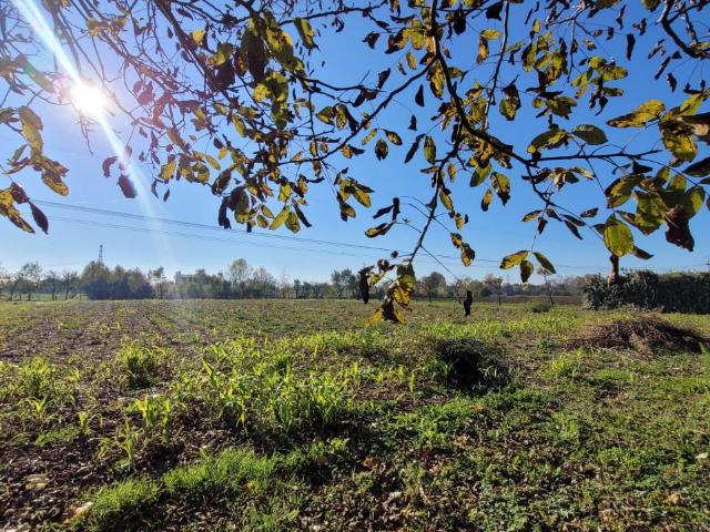 Terreno in vendita a Padova, Veneto