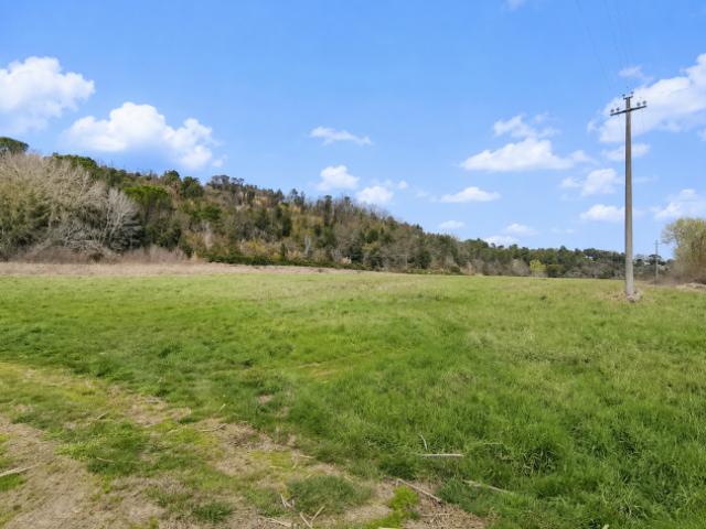 Terreno in vendita a Legoli, Toscana