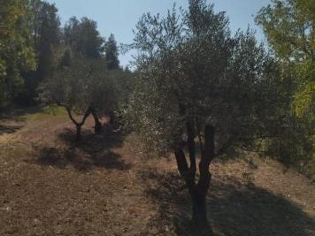 Terreno in vendita a Legoli, Toscana