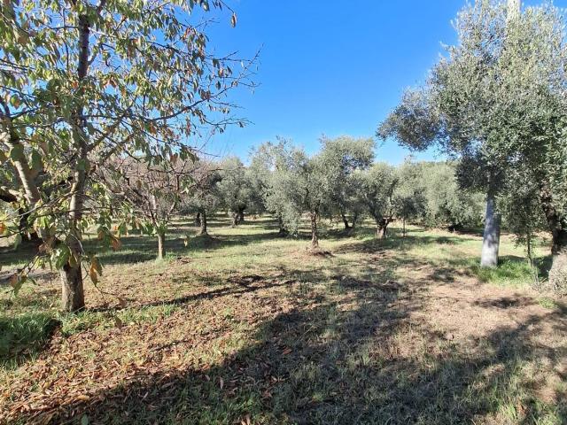 Terreno in vendita a Roma Capitale, Lazio