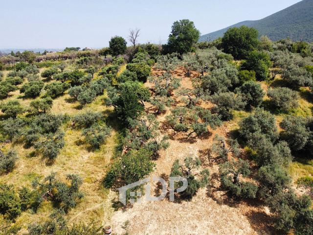 Terreno in vendita a Stazzano, Roma Capitale