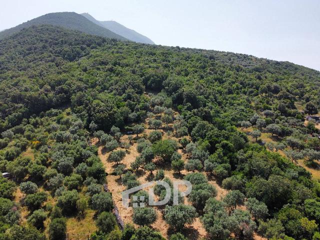Terreno in vendita a Roma Capitale, Lazio