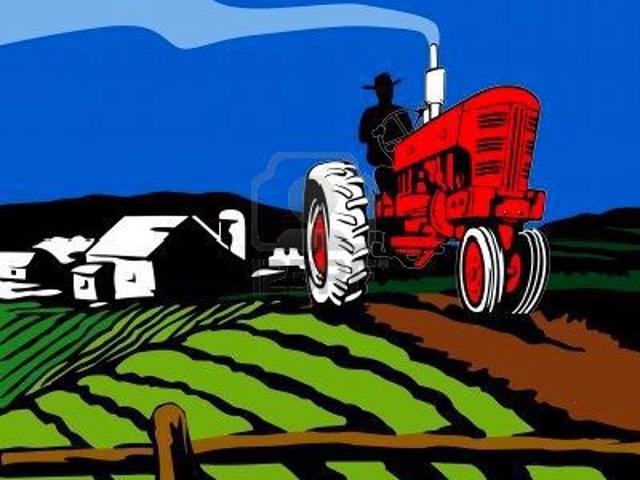 Terreno in vendita a Papozze, Veneto
