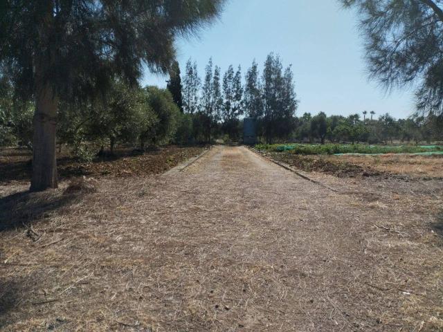 Terreno in vendita a Puglia, Lecce