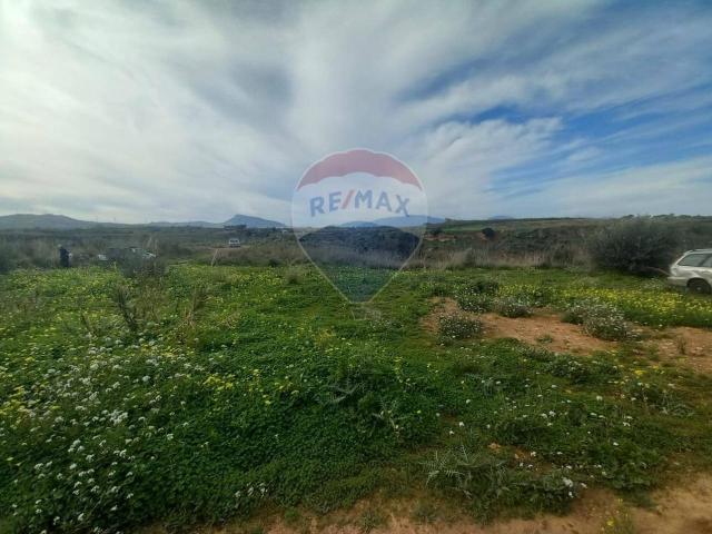 Terreno in vendita a Partinico, Sicilia