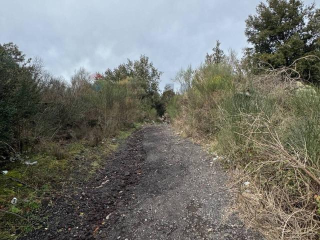 Terreno in vendita a Tarderia, Pedara