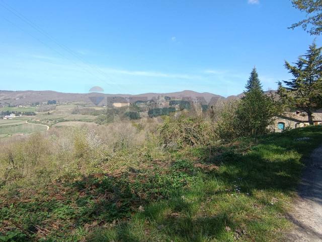 Terreno in vendita a Unione di Comuni Valdarno e Valdisieve, Pelago