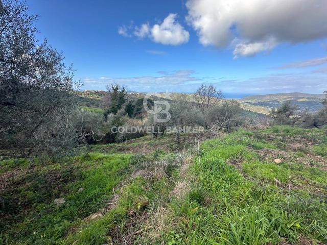 Terreno in vendita a Laureana Cilento, Campania