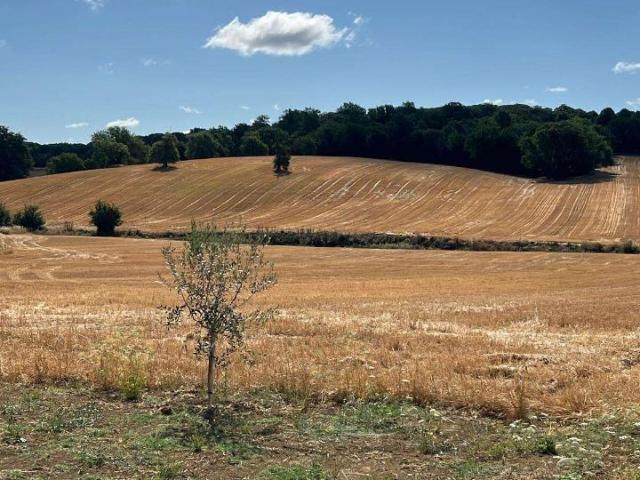 Terreno in vendita a Bagnaia, Perugia