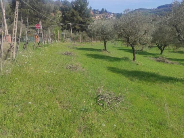 Terreno in affitto a Sant'Erminio, Cenerente