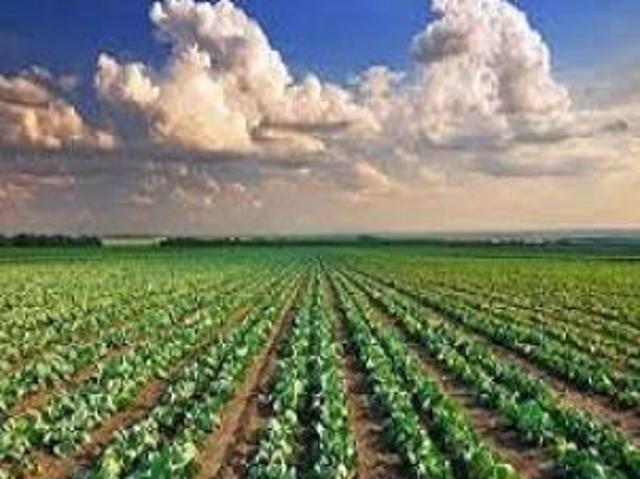 Terreno in vendita a Centro Storico, Pesaro