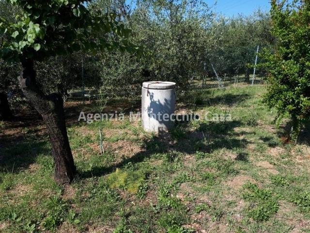 Terreno in vendita a Ponte Selva Grossa, Marche