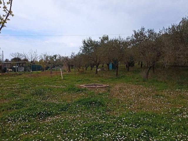 Terreno in vendita a Villa Fastiggi, Marche