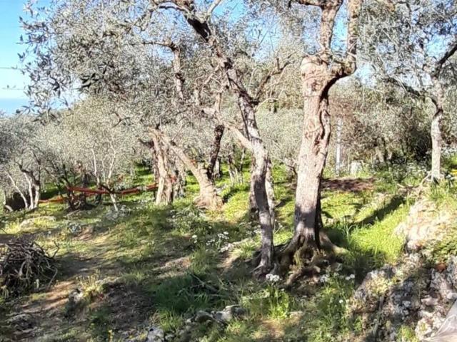Terreno in vendita a Tonfano, Toscana
