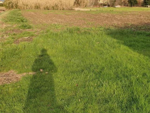 Terreno in vendita a Tonfano, Toscana