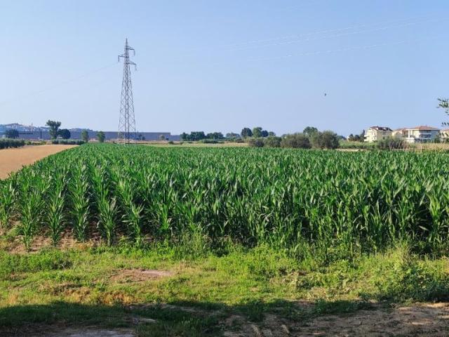 Terreno in vendita a Pineto, Abruzzo