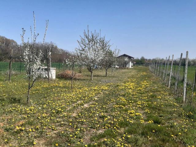 Terreno in vendita a Piemonte, Torino