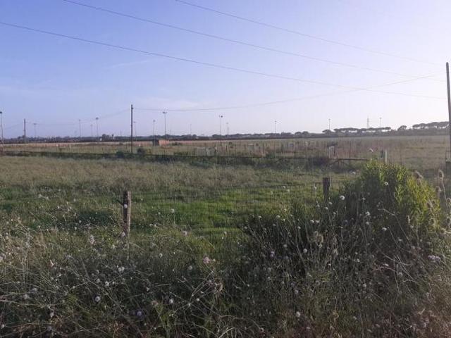 Terreno in vendita a Pisa